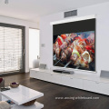 ceiling projecter for home theatre projection screen